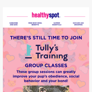 Tully's Training Classes Start Next Week!