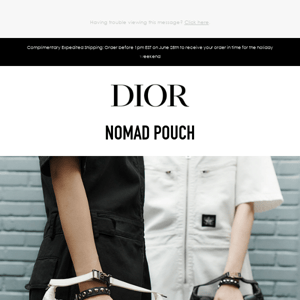 DiorTravel Nomad Pouch