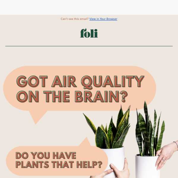 Are your plants cleaning your air?💨