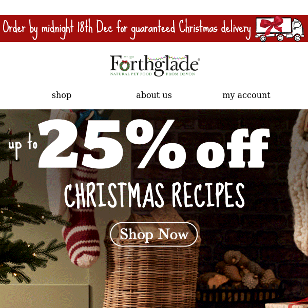 Enjoy 25% off our Christmas recipes 🎄