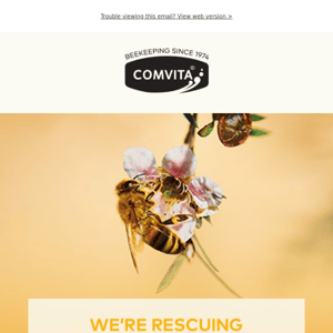 We’re saving 40 Million honey bees!