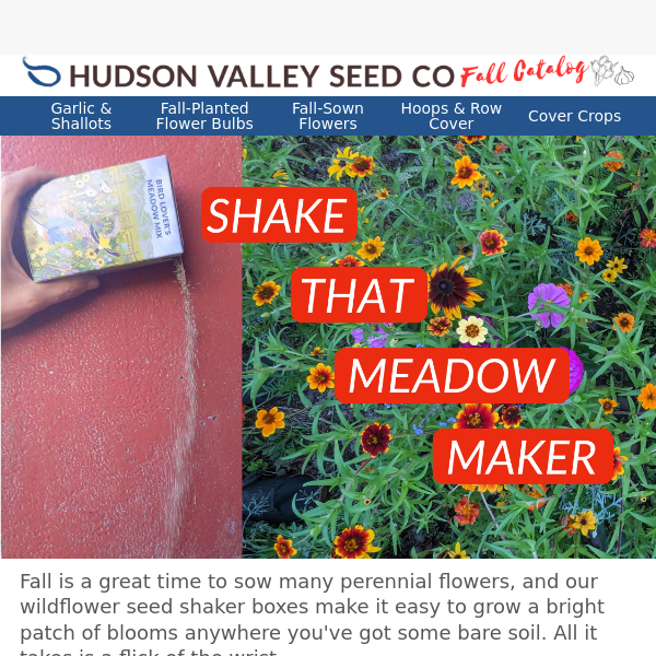 Pollinator Petal Patch Flower Mix Seeds – Hudson Valley Seed Company