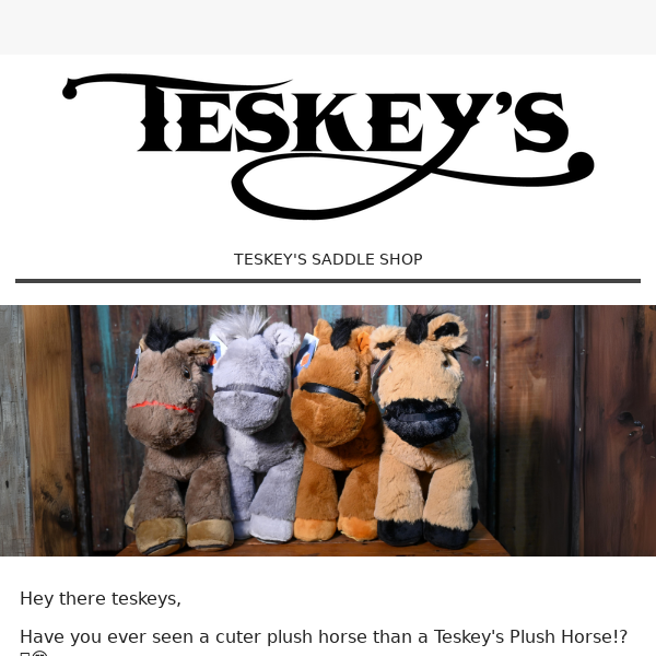 NEW Huggable Teskey's Plush Horses 🤗🐴