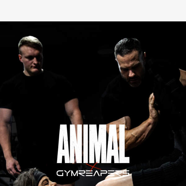 Animal x Gymreapers Lifting Strap Black – Animal Pak