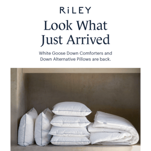 Comforters are *finally* restocked