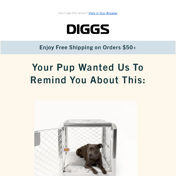 Last Chance to Save 10% on Puppy Crate & Bed Set