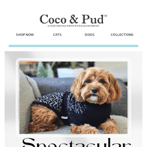 🐕‍🦺 Spectacular Sweater Sale!