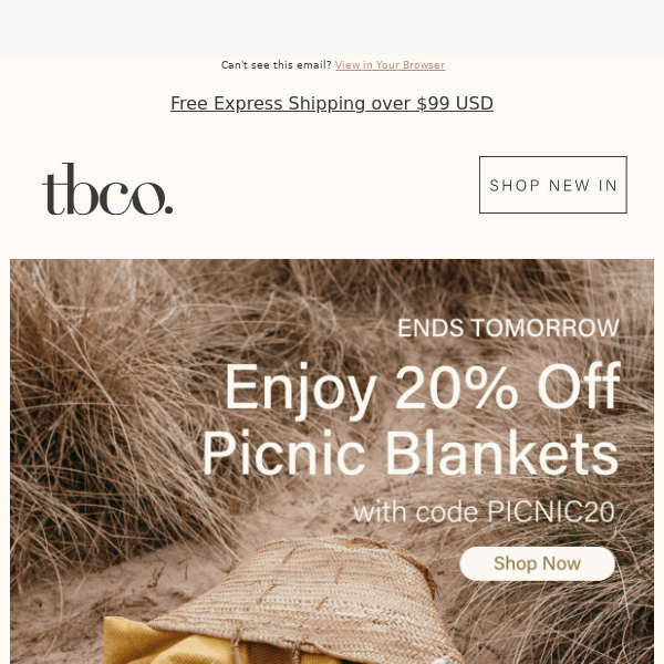 Don't Miss 20% Off Picnic Blankets