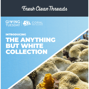 Giving Tuesday: Help Stop Coral Bleaching