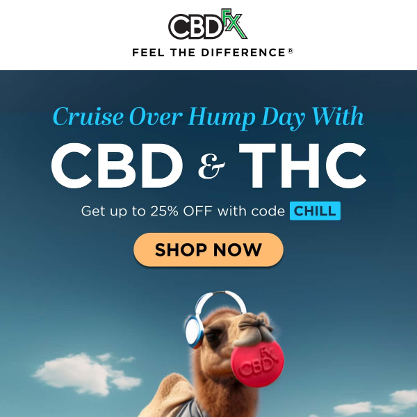 Get over the first 🐪 of 2024 with CBD!