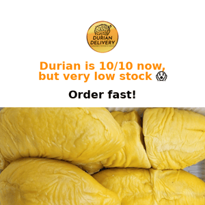 10/10 durian - but very low stock! Order now! 😱