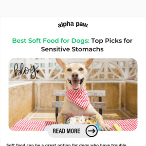 Best Soft Food for Dogs: Top Picks for Sensitive Stomachs