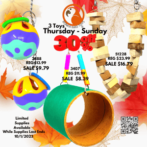 Bonka Bird Toys 30% Off Thursday-Sunday Sale & Last Weekend For 17% Off Fall Sale!