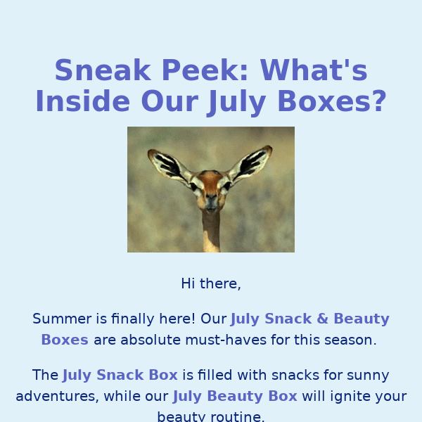 Sneak peek our July boxes! 🌞