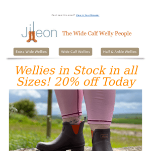 20% off our wide calf wellies for next 24 hours