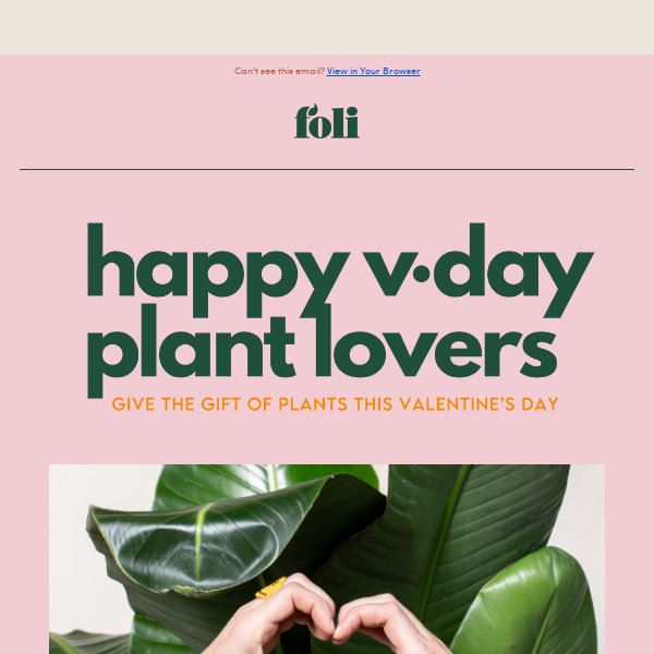 gift your PLANT LOVER ♥️