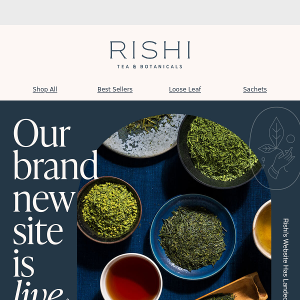 The New Rishi Website is Live!