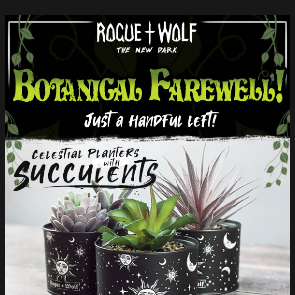 Botanical Farewell! Just a handful left!
