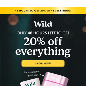 48 hours to get 20% off everything!