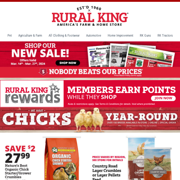 We're Crazy for Chickens & Savings During Chick Days - Come Join Us!