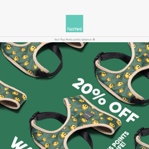 Update your pups gear with 20% off! 🌞