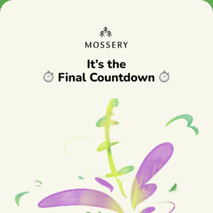 48 hours left before Mosstober Sale ends! ⏱