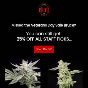 Missed out on the sale Eleven8 Seeds?? You can still get 25% off! 🎉