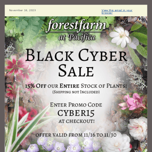 Black Cyber Sale!