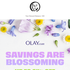 Spring Into This Amazing Sale 💸