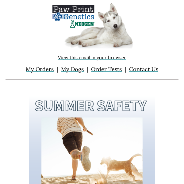 Summer Safety Series Continues: Protecting Your Furry Friends!🐾