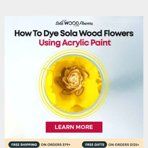 Sola Wood Flower Dyeing Tips for Beginners💃