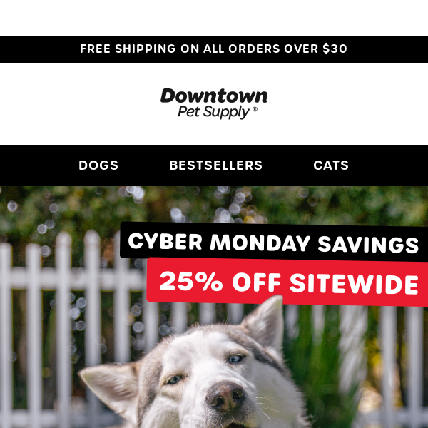 Cyber Monday Savings: 25% OFF sitewide