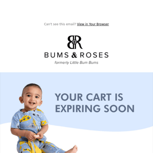 Your cart is expiring soon