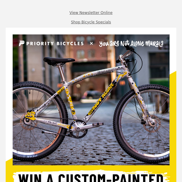 Win a Custom-Painted Artist Bicycle!