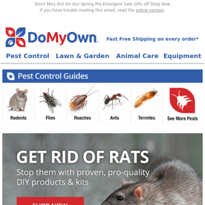 Rodent Proof Your Home With Our Easy Tips and Tricks