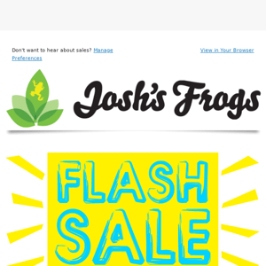 Flash sale! All dart frogs 25% OFF 💥