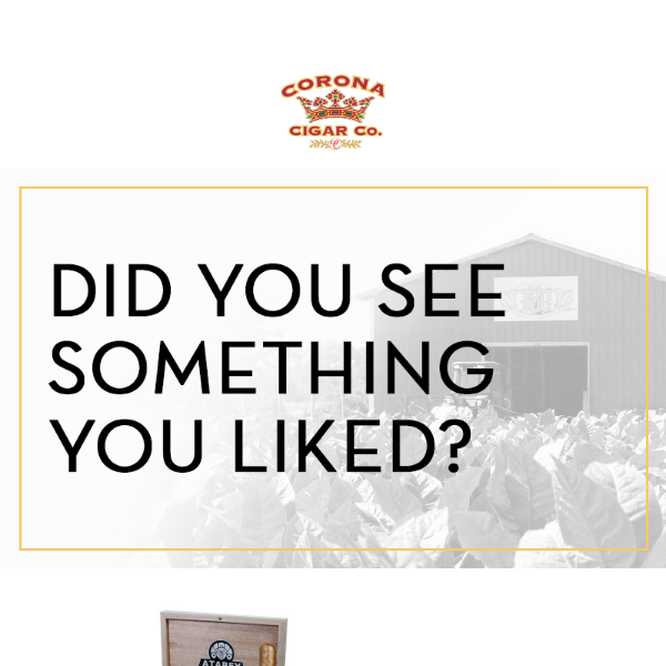 Did you see something you liked?