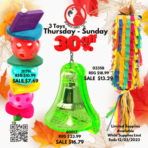 Bonka Bird Toys 30% Off Thursday-Sunday & Last Day For Black Friday Sale!