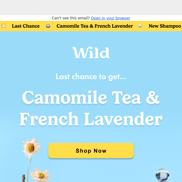 Last chance to get Camomile Tea & French Lavender!