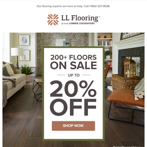 Up to 20% off over 200 floors | Shop Now!