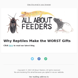 ​Why Reptiles Make The WORST Gifts