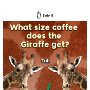 It’s a Sok-It Safari 🦒