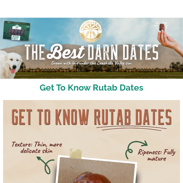 Meet The Rutab Medjool Date🌟🌴