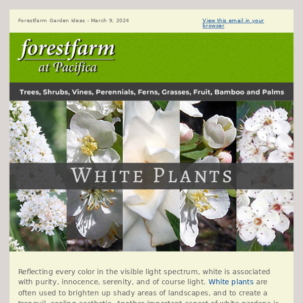 White Plants