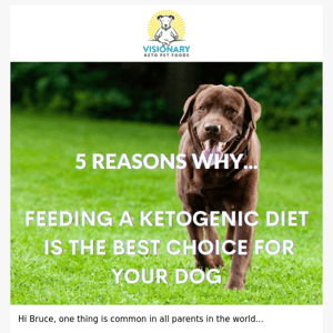 5 reasons to feed keto to your dogs