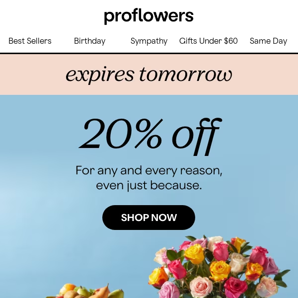 20% Off Sitewide Won't Last Long!