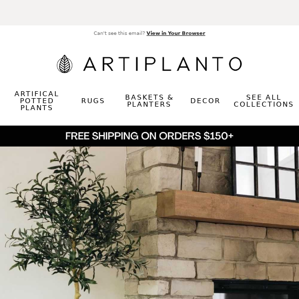 🌿Plants With No Watering Required Artiplanto