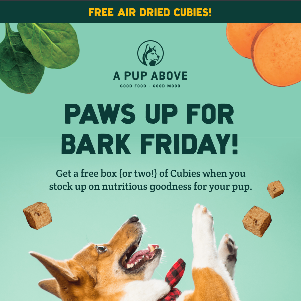 Bark Friday deals are here!