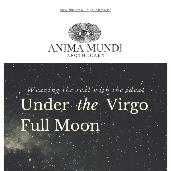 Full Moon in Virgo Report: 🧵Weaving the Real Into The Ideal