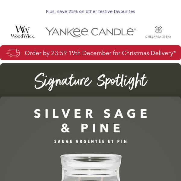 Love Silver Sage & Pine + Save in our Winter Clearance!